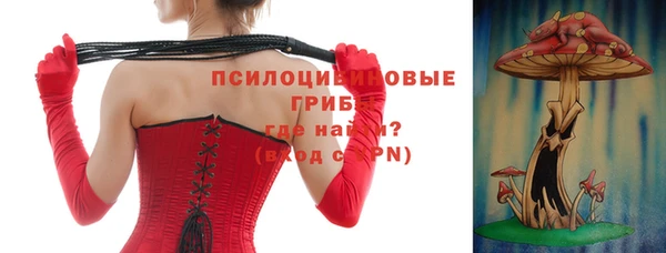 соль ск Алексеевка