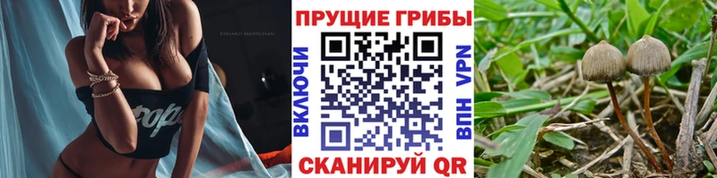 Галлюциногенные грибы ЛСД  Аргун 