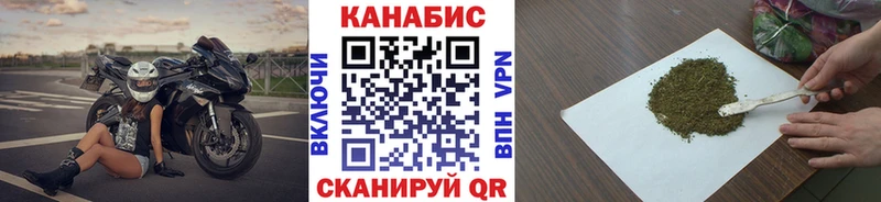 Канабис гибрид  Аргун 